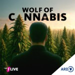 Logo of the podcast Wolf of Cannabis Podcast Wolf of Cannabis