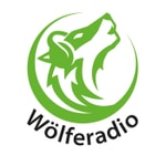 Podcast Wölferadio – DER VfL-Podcast
