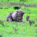 Logo of the podcast Wombat Radio Podcast Wombat Radio