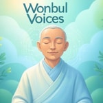 Podcast WonBul Voices
