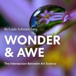 Logo of the podcast Wonder And Awe Podcast Wonder And Awe