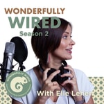 Logo of the podcast Wonderfully Wired Podcast Wonderfully Wired