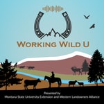 Working Wild U Working Wild U