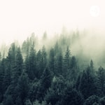 Podcast World Of Geography 
