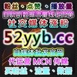 小红书合作共创笔记阅读与小红书阅读曝光和三秒附带uv在流量提升中的实践 Podcast 小红书合作共创笔记阅读与小红书阅读曝光和三秒附带uv在流量提升中的实践