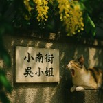 Logo of the podcast 小南街吳小姐 Podcast 小南街吳小姐