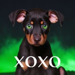 Logo of the podcast xoxo, Hades Podcast xoxo, Hades