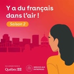 Logo of the podcast Y a du français dans l'air! Podcast Y a du français dans l'air!