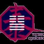 Logo of the podcast Yijing Medical Qigong Podcast Yijing Medical Qigong