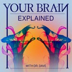 Your Brain Explained Podcast Your Brain Explained