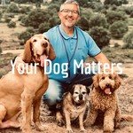 Logo of the podcast Your Dog Matters. With Dog Behaviourist Nick Jones MA. Podcast Your Dog Matters. With Dog Behaviourist Nick Jones MA.