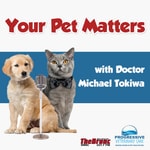 Logo of the podcast Your Pet Matters(Official 107.7 The Bronc Podcast) Podcast Your Pet Matters(Official 107.7 The Bronc Podcast)