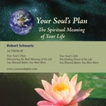 Logo of the podcast Your Soul's Plan Missing podcast logo