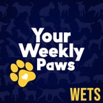 Logo of the podcast Your Weekly Paws Podcast Your Weekly Paws