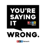 Logo of the podcast You're Saying It Wrong Podcast You're Saying It Wrong