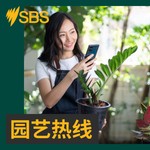 Logo of the podcast 园艺热线 Podcast 园艺热线