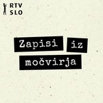 Logo of the podcast Zapisi iz močvirja Podcast Zapisi iz močvirja
