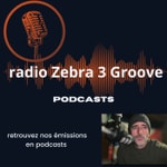 Logo of the podcast Zebra 3 Groove : les podcasts Podcast Zebra 3 Groove : les podcasts