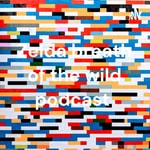 Logo of the podcast Zelda breath of the wild podcast Podcast Zelda breath of the wild podcast