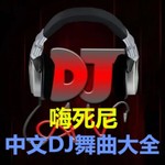 Logo of the podcast 中文DJ舞曲大全 Podcast 中文DJ舞曲大全