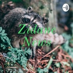 Logo of the podcast Zidane News Podcast Zidane News