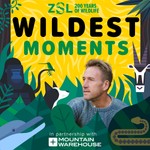 Logo of the podcast ZSL's Wildest Moments Podcast ZSL's Wildest Moments
