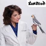 Logo of the podcast ZuNation Podcast ZuNation