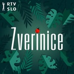 Logo of the podcast Zverinice Podcast Zverinice