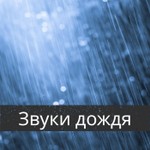 Logo of the podcast Звуки дождя Podcast Звуки дождя